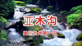 侠盗猎车手5
