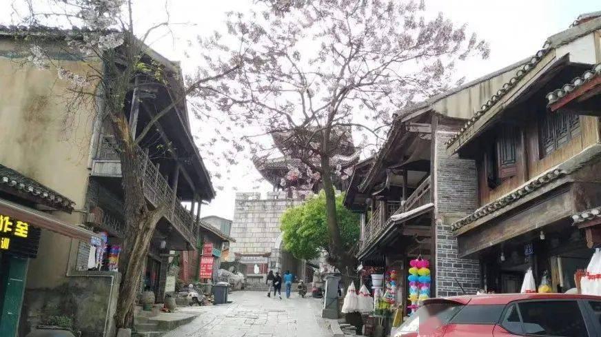 进口菜籽和菜籽油到港量大幅增加，短期供应压力仍牵制菜油市场